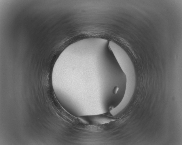 X0000082160596200702162236