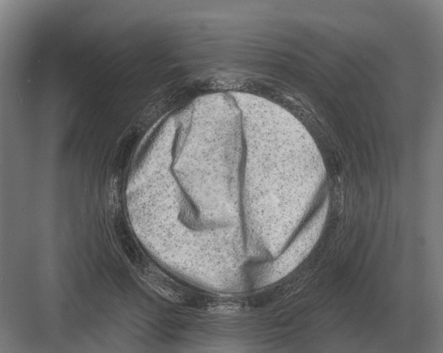 X0000082160598200702162236