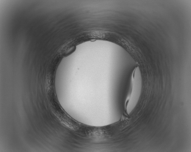 X0000082160600200702162236