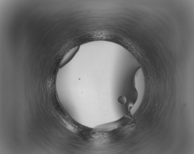 X0000082160601200702162236