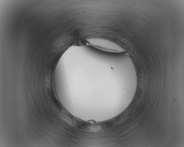 X0000082160604200702162236