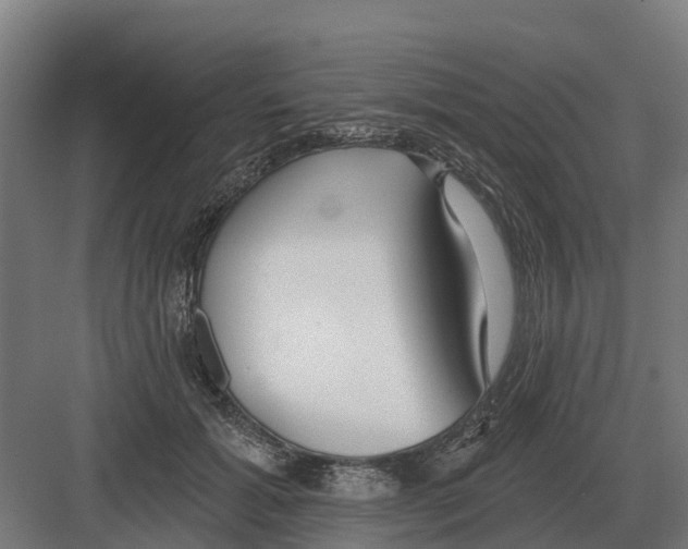 X0000082160605200702162236