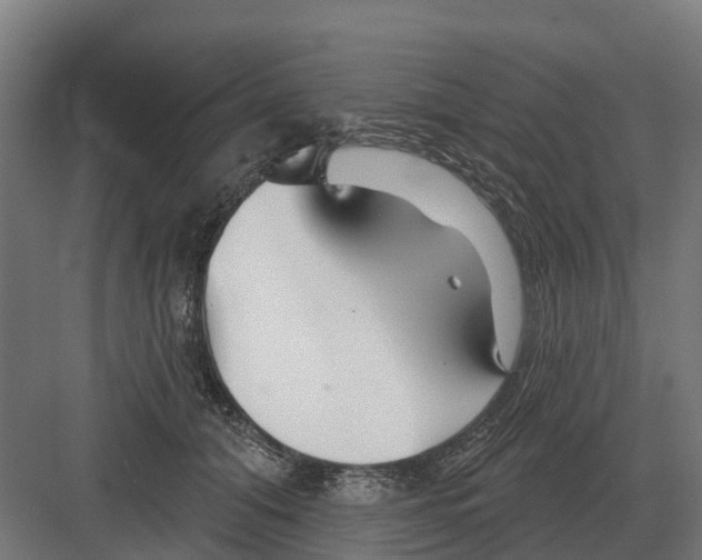 X0000082160608200702162236