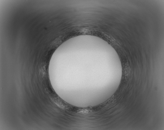 X0000082160611200702162236