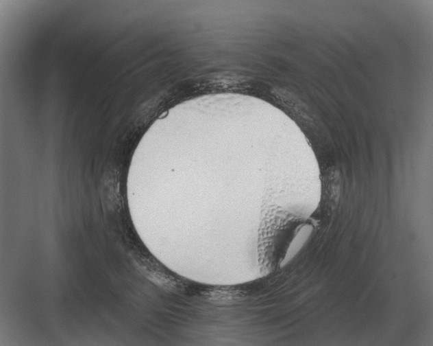 X0000082160615200702162236