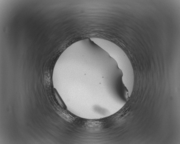 X0000082160617200702162236