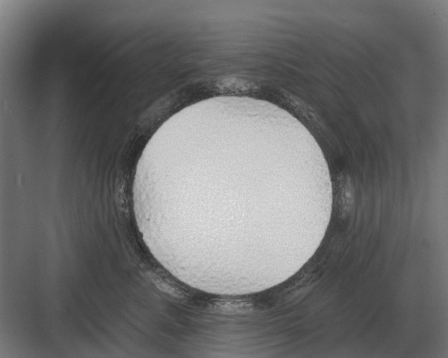 X0000082160619200702162236