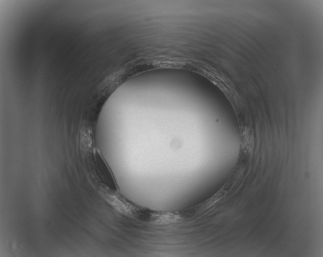 X0000082160621200702162236