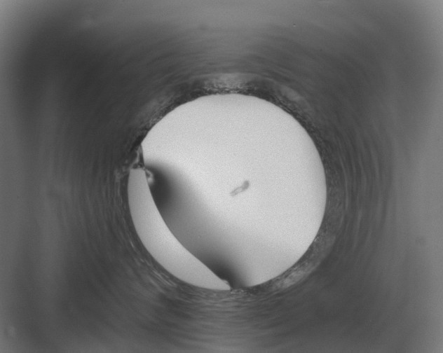 X0000082160624200702162236