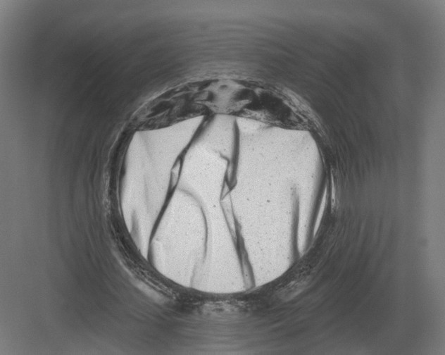 X0000082160627200702162235