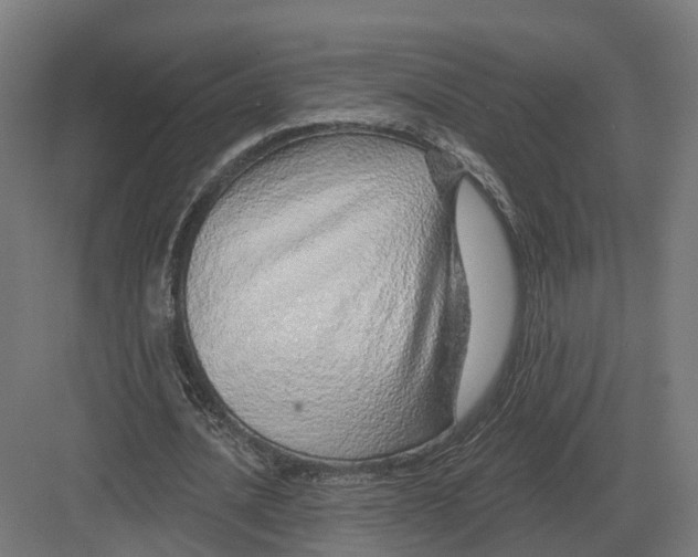 X0000082160628200702162235