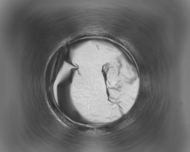 X0000082160630200702162235