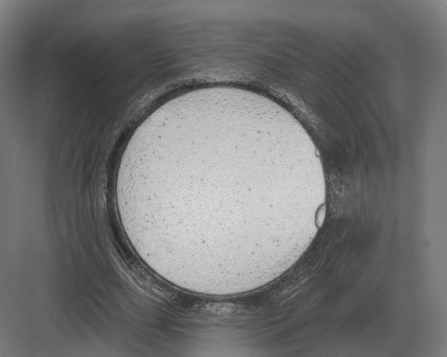 X0000082160631200702162235