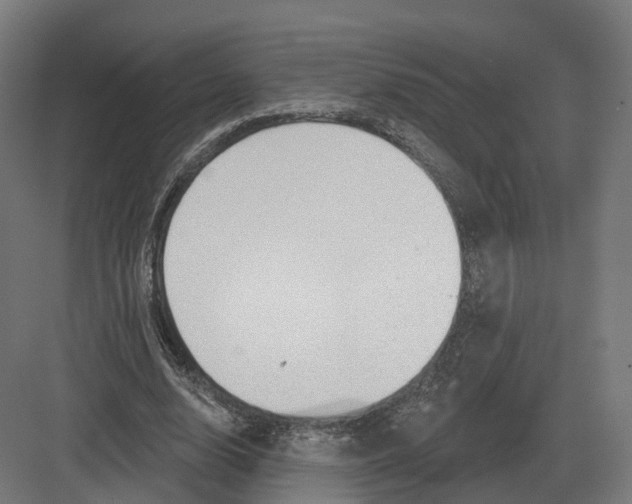 X0000082160632200702162235