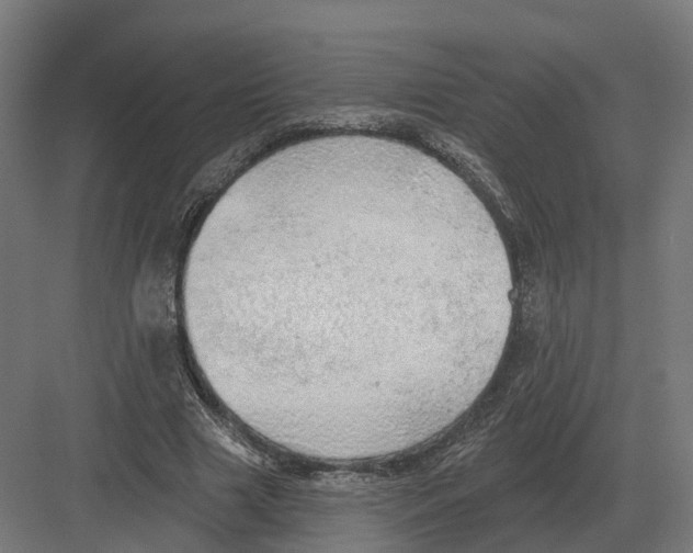 X0000082160633200702162235