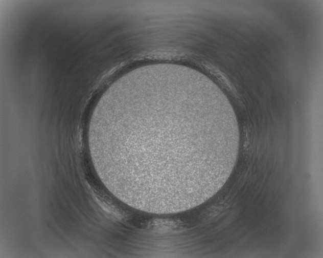 X0000082160636200702162235