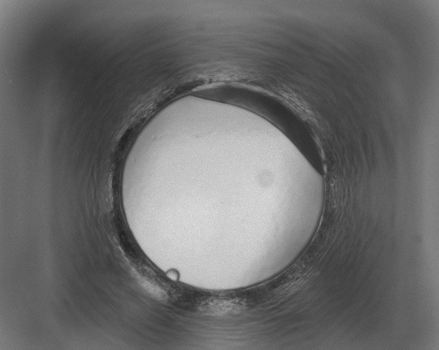 X0000082160638200702162235