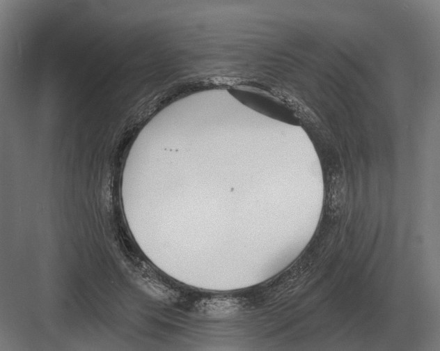 X0000082160639200702162235