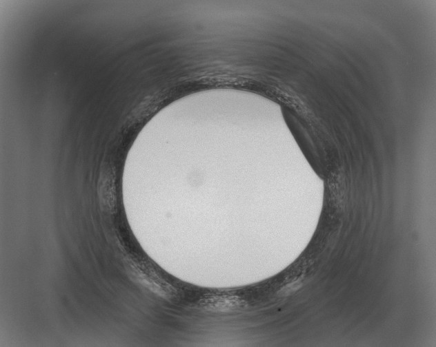 X0000082160642200702162235