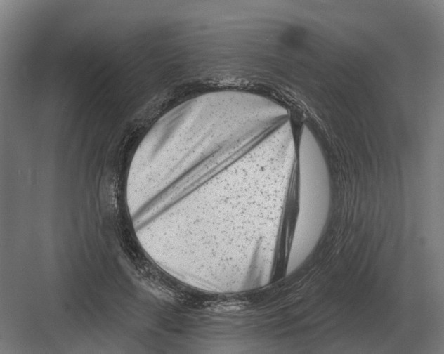 X0000082160643200702162235