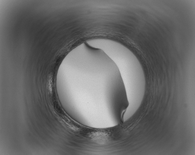 X0000082160644200702162235