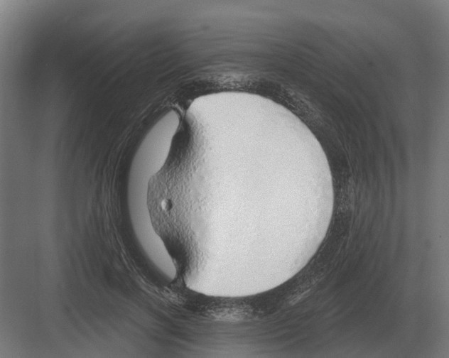 X0000082160646200702162235