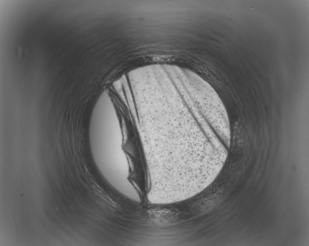 X0000082160650200702162235