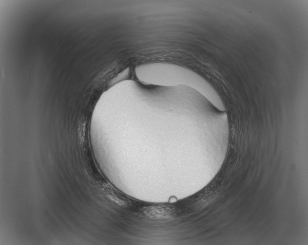 X0000082160652200702162235