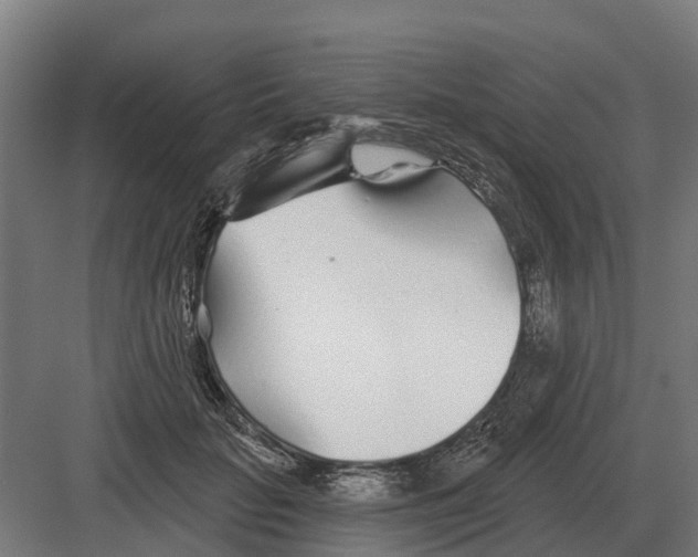 X0000082160653200702162235