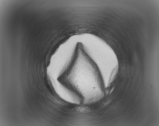 X0000082160654200702162235