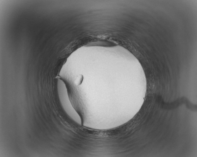 X0000082160656200702162235