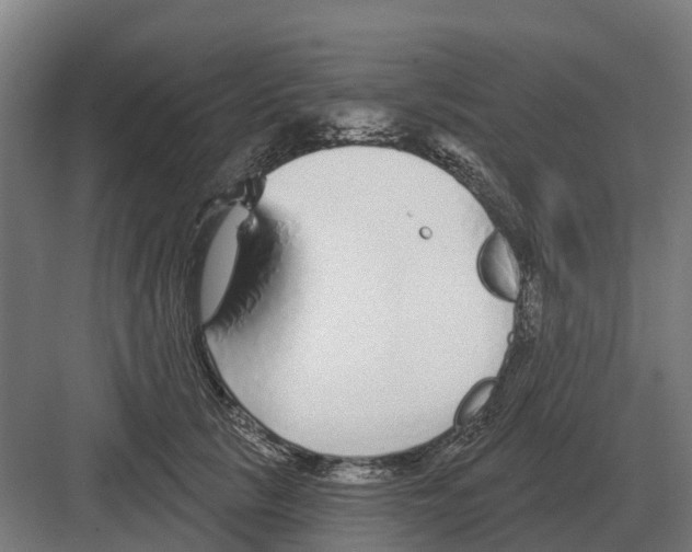 X0000082160657200702162236