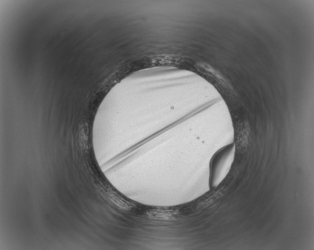 X0000082160661200702162236