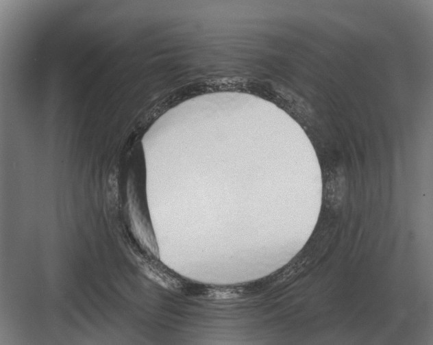 X0000082160662200702162236