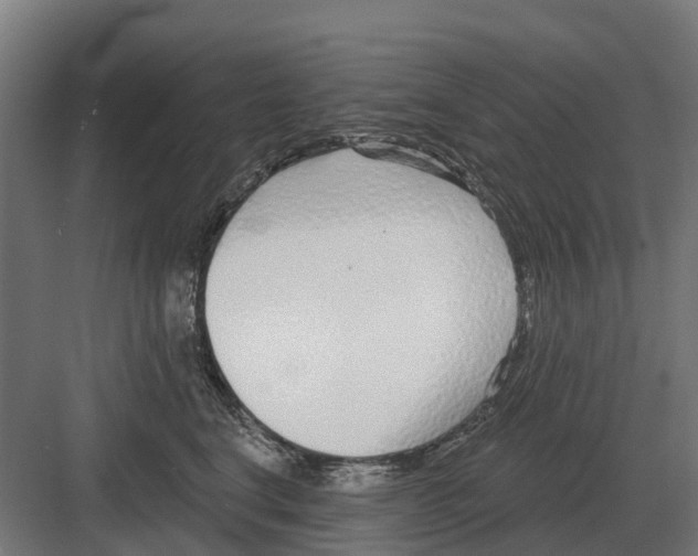 X0000082160664200702162236