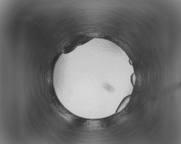 X0000082160665200702162236