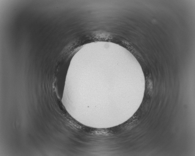 X0000082160668200702162236