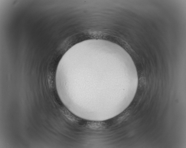 X0000082160671200702162236