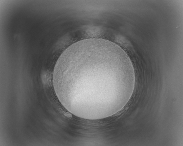 X0000082160672200702162236