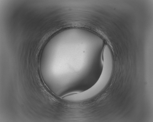 X0000082160673200702162235