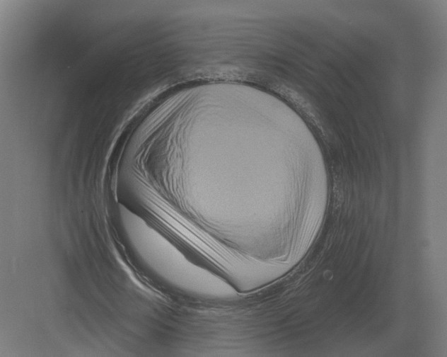 X0000082160674200702162235