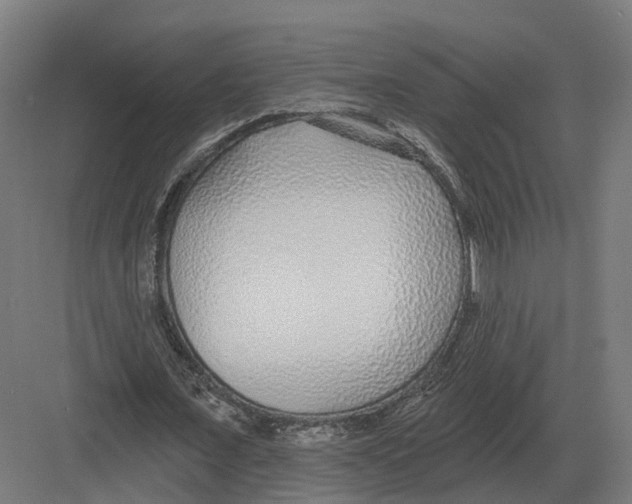 X0000082160675200702162235