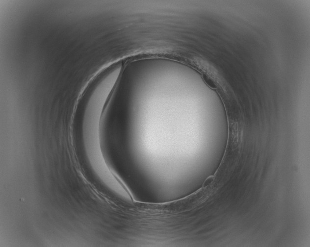 X0000082160676200702162235