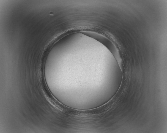 X0000082160677200702162235