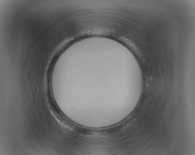 X0000082160678200702162235