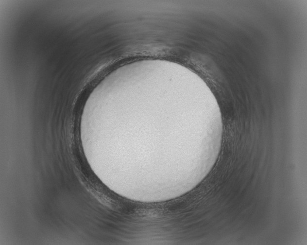 X0000082160679200702162235