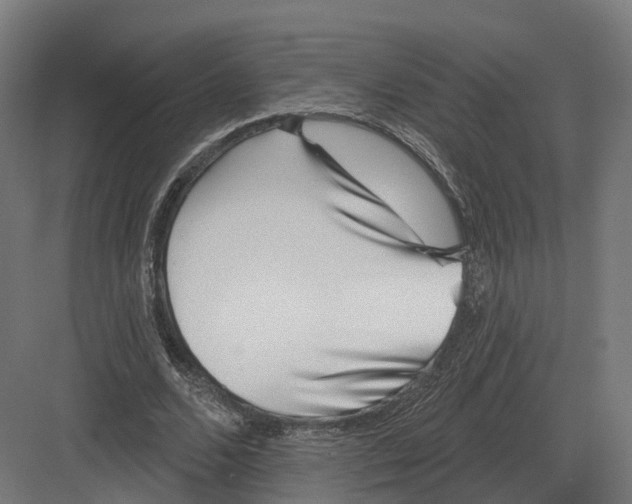 X0000082160680200702162235