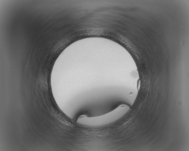 X0000082160681200702162235