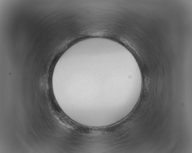 X0000082160682200702162235