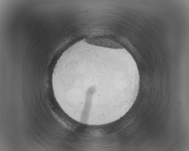 X0000082160683200702162235